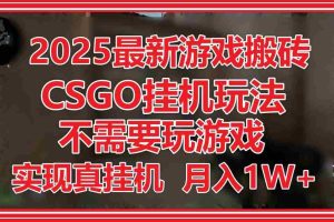 （14743期）2025最新游戏搬砖，CSGO挂机，不需要玩游戏，实现真挂机，月入1W+