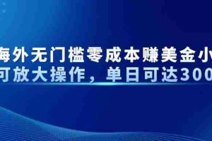 （14542期）最新海外无门槛零成本赚美金小众项目可放大操作，单日可达300+