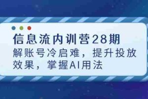 （14535期）信息流内训营28期，解账号冷启难，提升投放效果，掌握AI用法