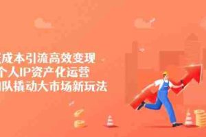 （14555期）低成本引流高效变现，个人IP资产化运营，小团队撬动大市场新玩法