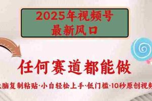 （14453期）2025年视频号新风口，低门槛只需要无脑执行