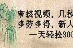 （14202期）审核视频，几秒一单，多劳多得，新人小白一天轻松300+