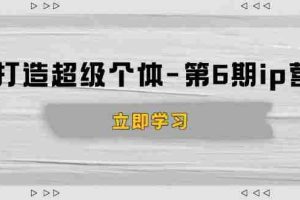 （14014期）打造 超级个体-第6期ip营：商业认知,产品设计,成交演练,解决知识变现难题