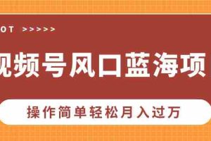 （13945期）视频号风口蓝海项目，中老年人的流量密码，操作简单轻松月入过万