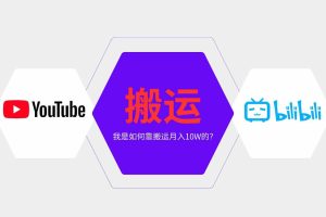 （13795期）纯搬运引流日进300粉，月入10w级教程