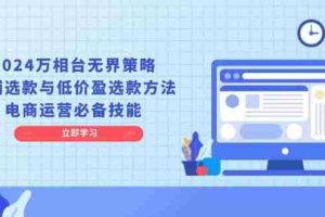 （13633期）2024万相台无界策略，店铺选款与低价盈选款方法，电商运营必备技能