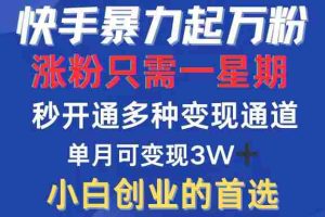 （12651期）快手暴力起万粉，涨粉只需一星期，多种变现模式，直接秒开万合，小白创…