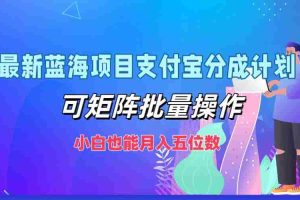 (12515期)最新蓝海项目支付宝分成计划,可矩阵批量操作,小白也能月入五位数