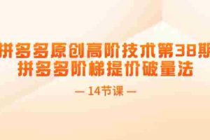 （11704期）拼多多原创高阶技术第38期，拼多多阶梯提价破量法（14节课）