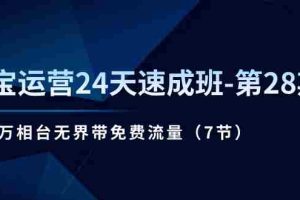 （11182期）淘宝运营24天速成班-第28期：最新万相台无界带免费流量（7节）