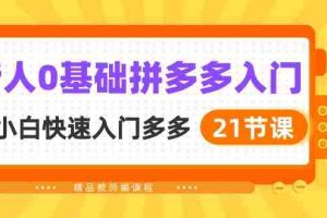 （10299期）新人0基础拼多多入门，​纯小白快速入门多多（21节课）