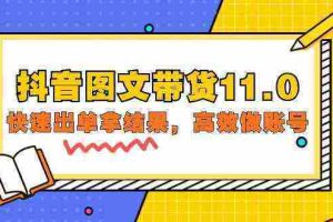 （9802期）抖音图文带货11.0，快速出单拿结果，高效做账号（基础课+精英课=92节）