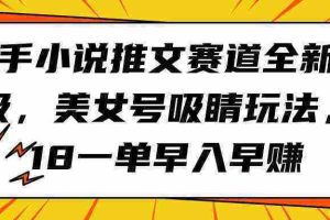 （9776期）快手小说推文赛道全新升级，美女号吸睛玩法，18一单早入早赚
