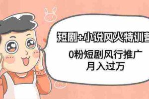 （9374期）短剧+小说风火特训营，0粉短剧风行推广，月入过万（102节课）