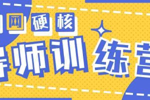 (9259期)2024导师训练营6.0超硬核变现最高的项目,高达月收益10W+
