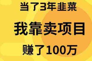 (9100期)当了3年韭菜,我靠卖项目赚了100万