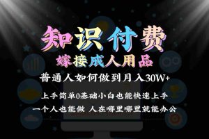 2024普通人做知识付费结合成人用品如何实现单月变现30w➕保姆教学1.0