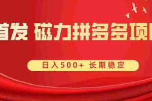 （8611期）首发 磁力拼多多自撸  日入500+