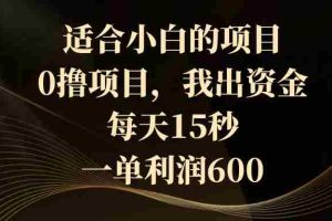 （8571期）适合小白的项目，0撸项目，我出资金，每天15秒，一单利润600