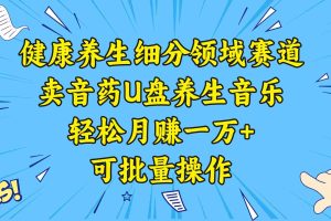 （8503期）健康养生细分领域赛道，卖音药U盘养生音乐，轻松月赚一万+，可批量操作