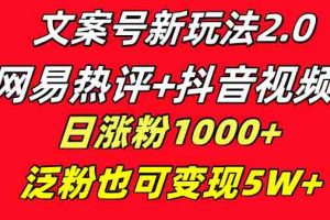 （8484期）文案号新玩法 网易热评+抖音文案 一天涨粉1000+ 多种变现模式 泛粉也可变现