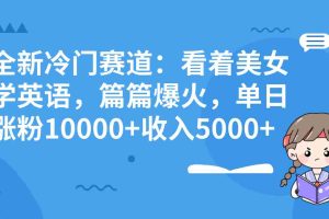 （8194期）全新冷门赛道：看着美女学英语，篇篇爆火，单日涨粉10000+收入5000+