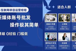 （8135期）自媒体账号批发，看我怎么一天赚1个W，超简单