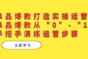 （7488期）单品爆款打造实操运营，单品爆款从“0”-“1”手把手演练运营步骤
