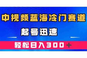 （7449期）中视频蓝海冷门赛道，韩国视频奇闻解说，起号迅速，日入300＋
