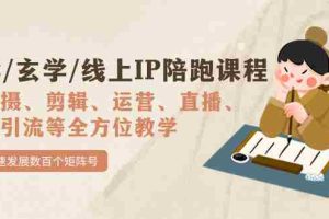 （7318期）国学/玄学/线上IP陪跑课程，从0-1全方位教学，快速发展数百个矩阵号