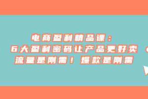 （6954期）电商 盈利精品课：6大盈利 密码让产品更好卖，流量是刚需！爆款是刚需