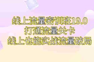 （6955期）线上流量密训班19.0，打通流量关卡，线上也能实战流量破局