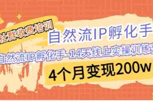 （6924期）某社群收费培训：自然流IP 孵化手-14天线上实操训练营 4个月变现200w