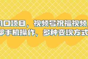（6895期）新风口项目，视频号祝福视频，一部手机操作，多种变现方式