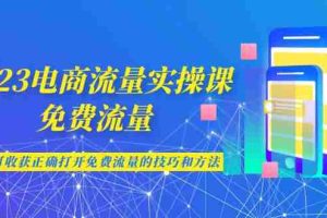 （6880期）2023电商流量实操课-免费流量，学会可收获正确打开免费流量的技巧和方法