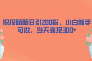 （6817期）探探陌陌日引200粉，小白新手可做，当天就能变现300+