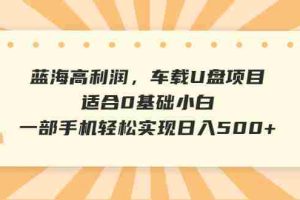 (6600期)蓝海高利润,车载U盘项目,适合0基础小白,一部手机轻松实现日入500+
