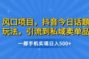 (6588期)风口项目,抖音今日话题玩法,引流到私域卖单品,一部手机实现日入500+