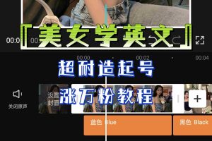 （6534期）某公众号付费文章《“美女学英文”超耐造起号、涨万粉教程》亲测效果爆炸