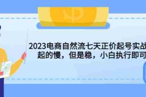 (5956期)2023电商自然流七天正价起号实战课:起的慢,但是稳,小白执行即可!