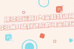 （5521期）拼多多运营0-1实战特训营，拼多多从0础到进阶的可实操玩法！