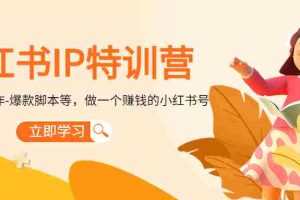 （4521期）小红书IP特训营：从搭建-制作-爆款脚本等等，做一个赚钱的小红书号