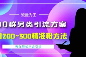 (4122期)外面收费888元的QQ群另类引流方案:日200~300精准粉方法