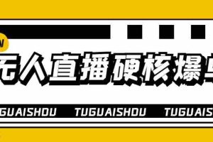 (3980期)大飞无人直播硬核爆单技术,轻松玩转无人直播,暴利躺赚