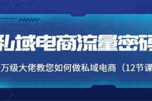 （3977期）私域电商流量密码：千万级大佬教您如何做私域电商（12节课）