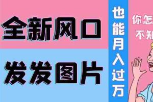 （3868期）抖音头像号变现0基础教程：全新风口，发发图片也能变现月入10000+