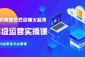 （3708期）【90天阿里巴巴店铺火起来】高级运营实操课，1688运营高手必修课