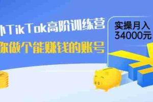 （3628期）海外TikTok高阶训练营：教你做个能赚钱的账号，实操月入34000元！
