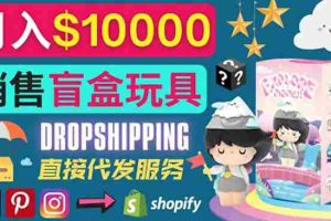 （3544期）Dropshipping+ Shopify推广玩具盲盒赚钱：每单利润率30%, 月赚1万美元以上