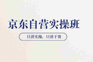 （3467期）【京东自营实操班】只讲实操，只讲干货（28小时课程-共2期）
